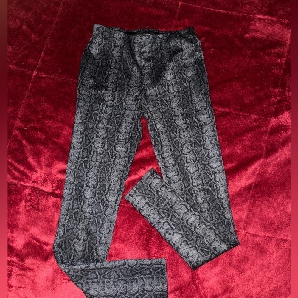 Tahari‎ Print Snake Leggings Cute Slim XS